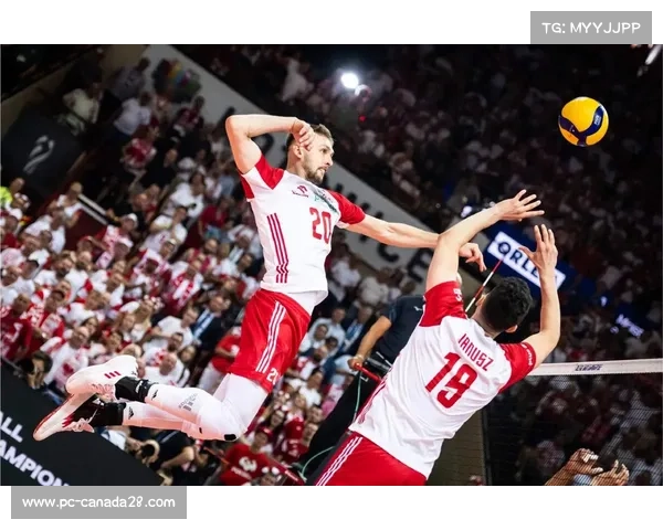 男排世锦赛G组前瞻：日本、加拿大、土耳其与利比亚激烈角逐